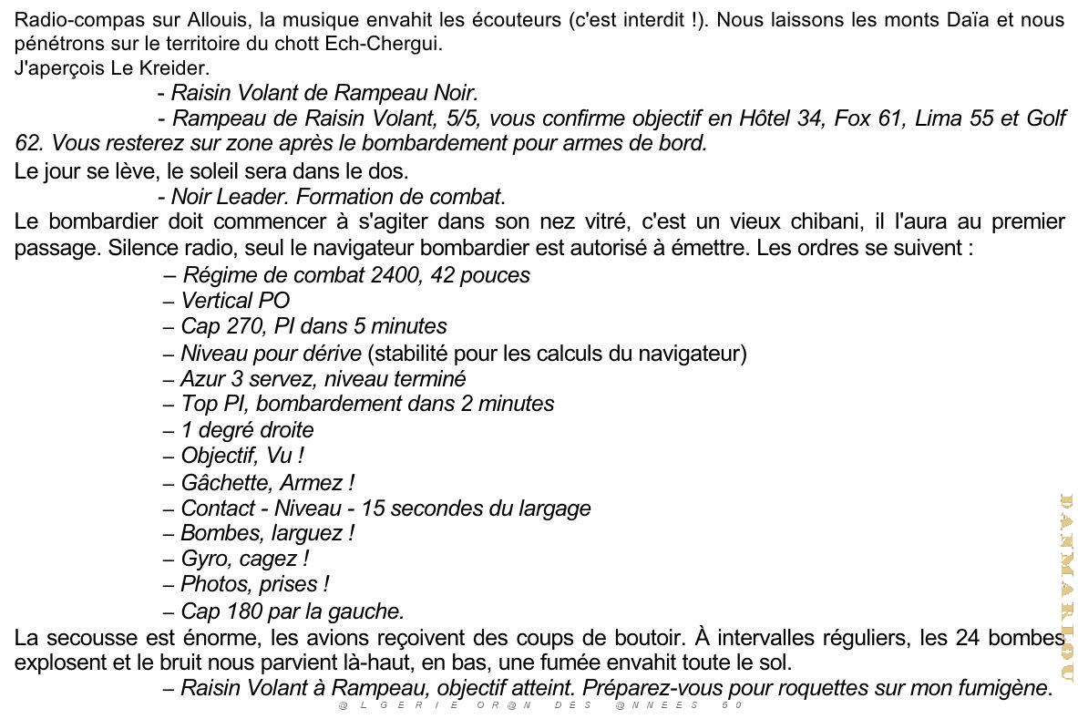 172- ARMEE DE L'AIR EN ALGERIE 1945-1962-20 (89).jpg
